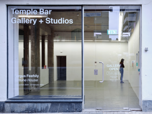A photo of the glass frontage of Temple Bar Gallery + Studios. A visitor stands inside and looks at a painting on the wall of Fergus Feehily's exhibition.
