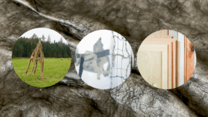 Animal-skin looking background with three circular images in the middle. On the right, there is a field with a hay skeleton, in the middle, an abstract web and art in the back and on the left, wooden pieces on top of each other.