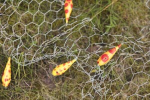 Chicken wire with some plastic yellow and red fish across it. Photographed with a grassy ground background.